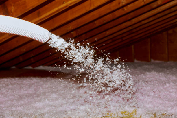 Best DIY Insulation Kits and Guidance in San Carlos Park, FL