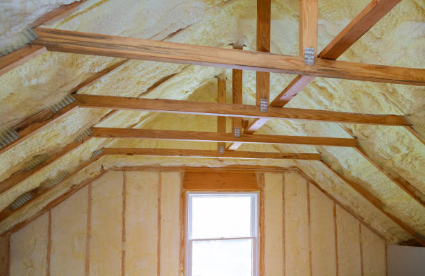 Best Insulation Maintenance and Repair in San Carlos Park, FL