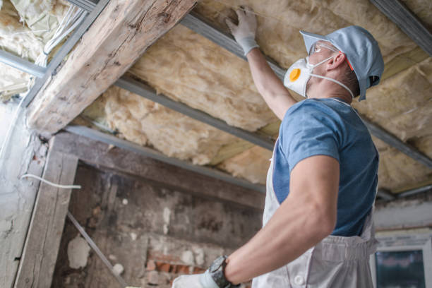 Best Fiberglass Insulation in San Carlos Park, FL