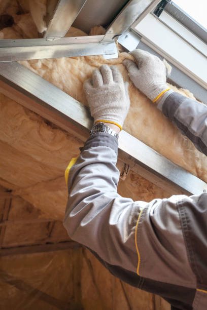Best Cellulose Insulation in San Carlos Park, FL