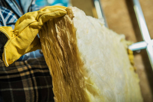 Best Residential Insulation in San Carlos Park, FL