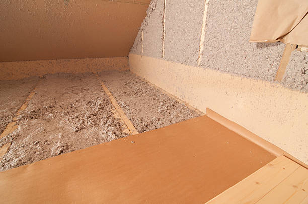 Best Cellulose Insulation in San Carlos Park, FL